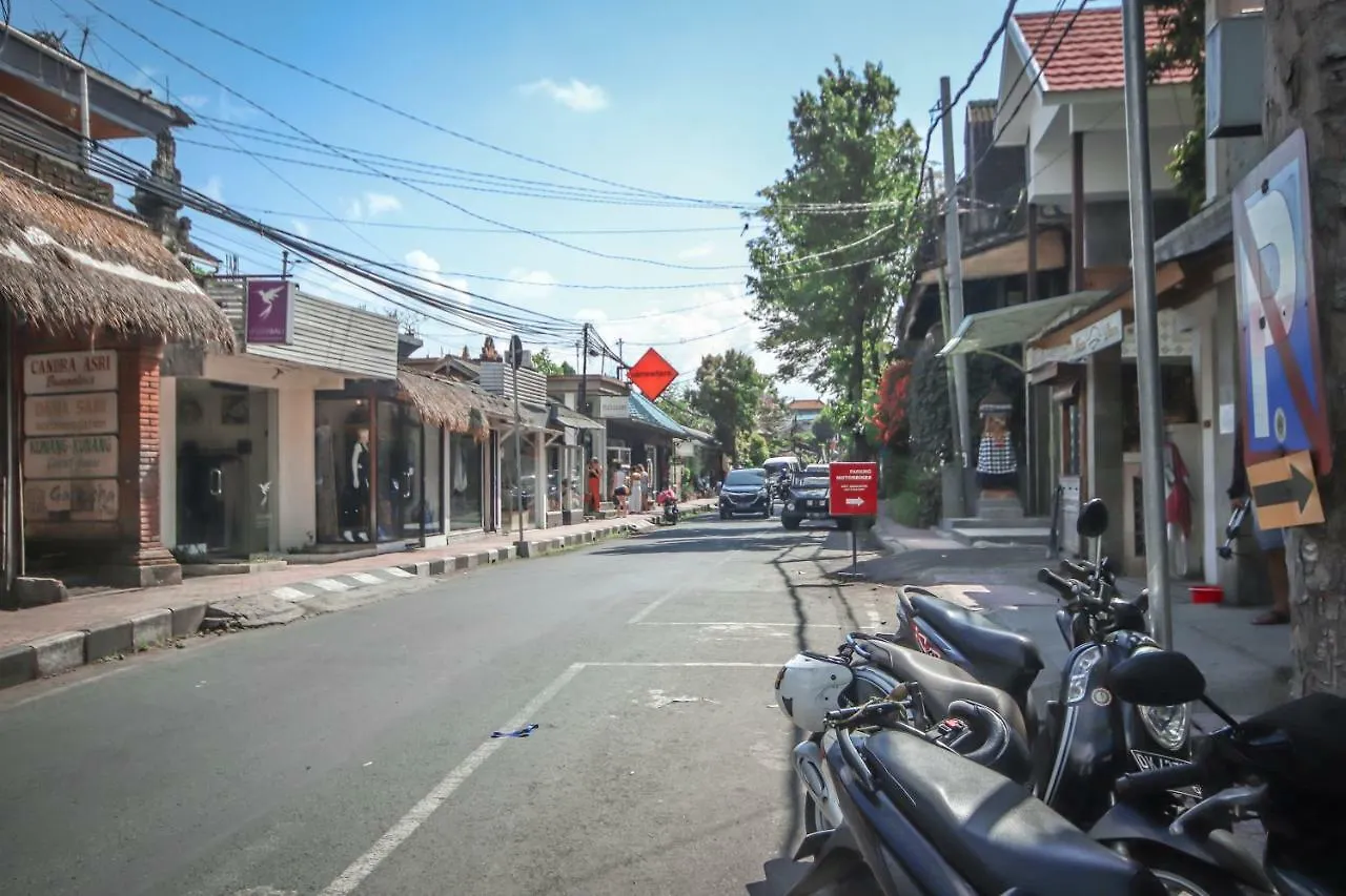 Satya House Ubud Guest house